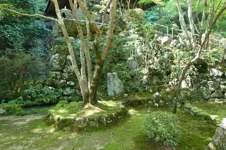 勝持寺(花の寺)の庭園
