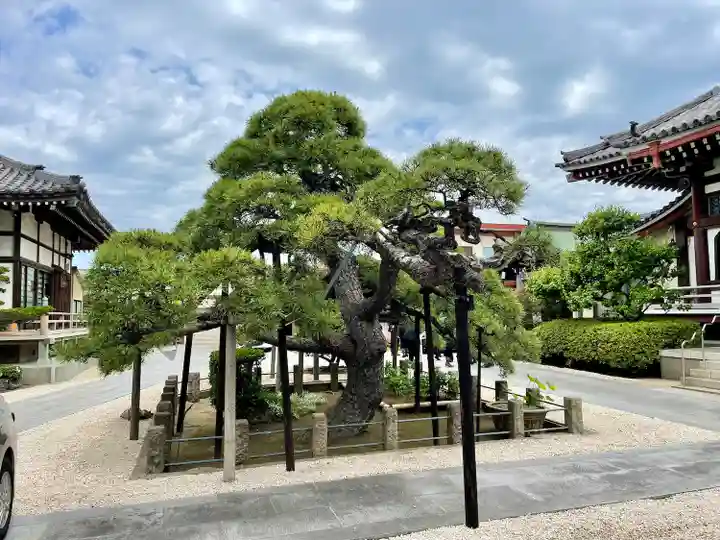 光明寺(千葉県)