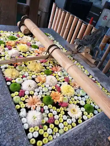 高円寺氷川神社の手水