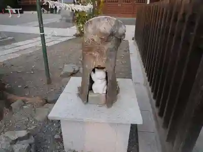 荻窪白山神社の狛犬