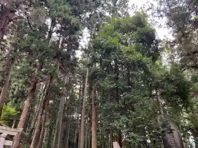 大宮温泉神社(栃木県)