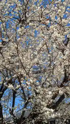 大松禅寺(京都府)