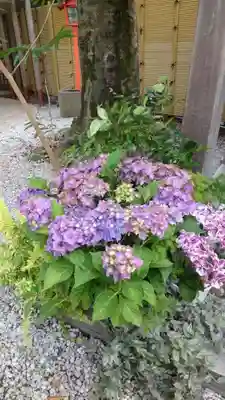蛇窪神社(東京都)