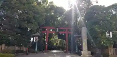 根津神社の鳥居
