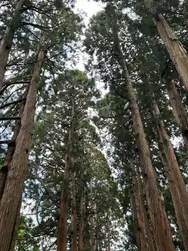 戸隠神社奥社の自然
