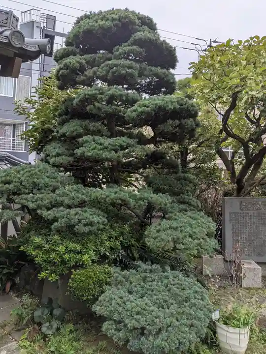 長照寺(東京都)