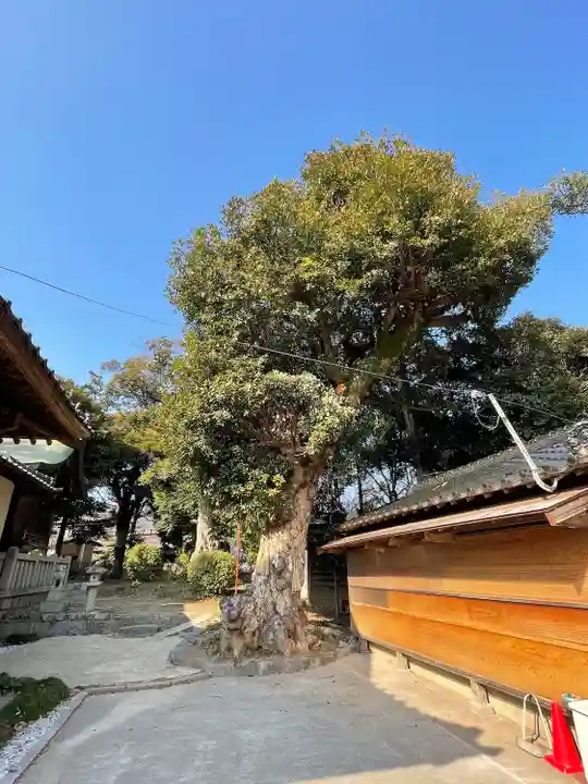 天疫神社の自然
