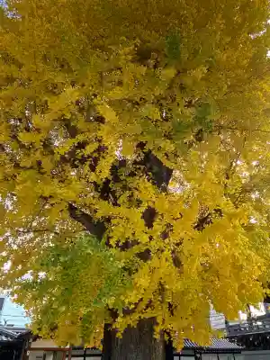 佛光寺(京都府)