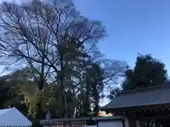 伊和志津神社の建物その他