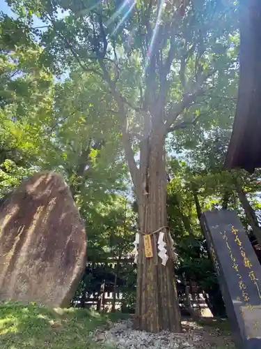 護王神社の自然