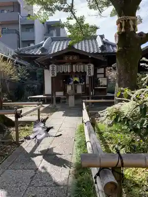出町妙音堂(京都府)