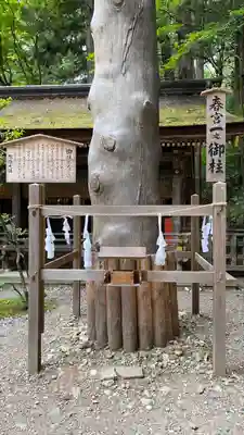 諏訪大社下社春宮(長野県)