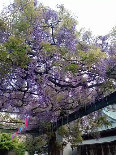 國領神社(東京都)