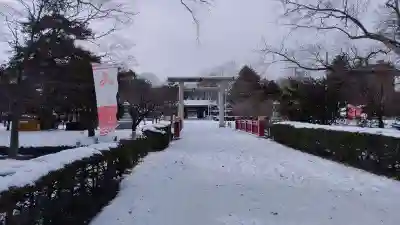 札幌護國神社の鳥居