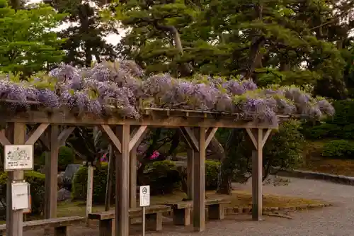 白山神社(新潟県)