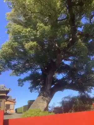 極楽寺(愛知県)