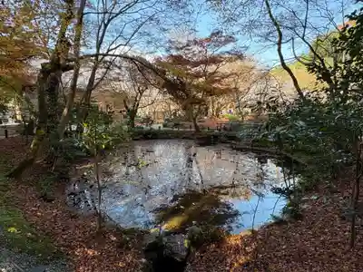 圓光寺(京都府)