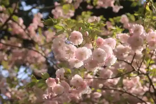 御札神社の自然