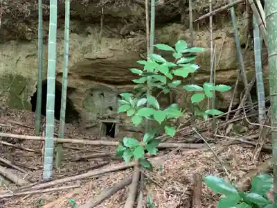 嶺根寺(千葉県)