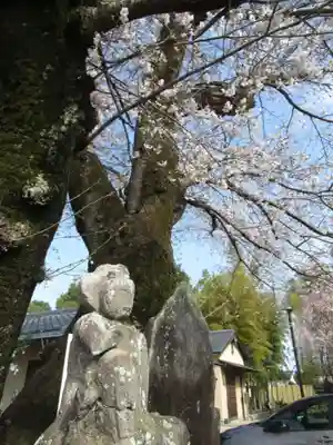 真光寺(千葉県)