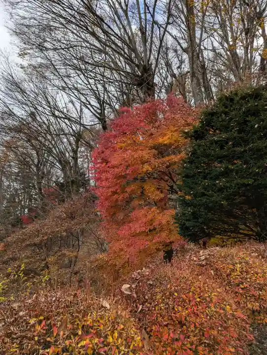 東円寺(山梨県)