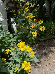 今市報徳二宮神社(栃木県)