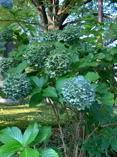 花巻神社の自然