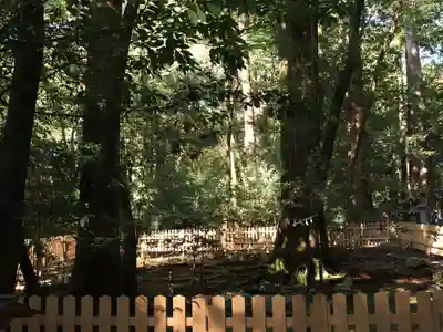 椿大神社(三重県)