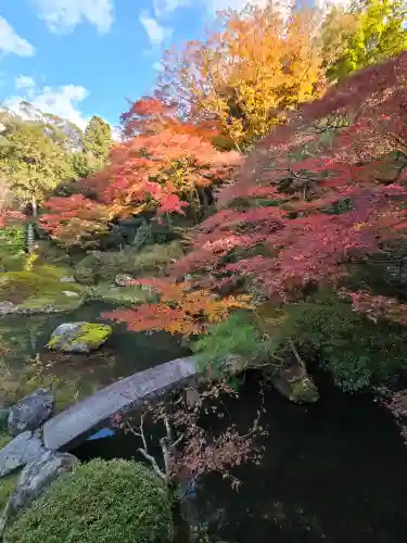 青蓮院門跡(京都府)