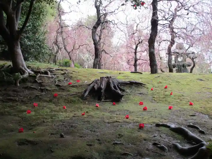 城南宮(京都府)