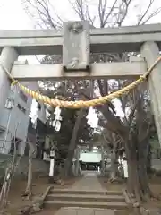 下高井戸八幡神社（下高井戸浜田山八幡神社）の鳥居