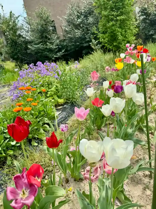 玉田神社(京都府)