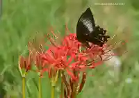 宝城坊(神奈川県)