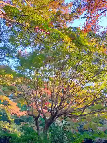 不退寺(奈良県)