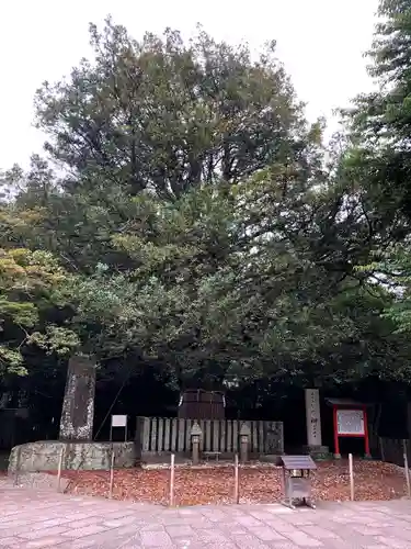 熊野速玉大社の自然