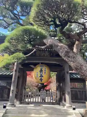 長谷寺の山門・神門
