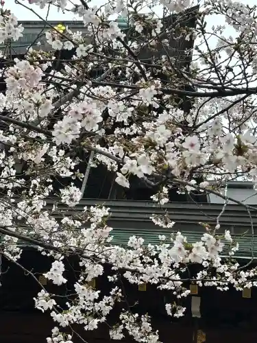 大阪天満宮の{uncategorized: "未分類", other: "その他", undefined: "問題あり", building: "その他建物", grave: "お墓", sacred_gate: "鳥居", guardian: "狛犬", statue: "像", buddha: "仏像", history: "歴史", nature: "自然", garden: "庭園", animal: "動物", pagoda: "塔", temizu: "手水舎", mountain_gate: "山門・神門", sanctuary: "本殿・本堂", subordinate: "末社・摂社", art: "芸術", scenery: "景色", jizo: "地蔵", ema: "絵馬", goshuin: "御朱印", omikuji: "おみくじ", items: "授与品その他", amulet: "お守り", goshuincho: "御朱印帳", eats: "食事", festival: "お祭り", votive_dance: "神楽", shichigosan: "七五三参", wedding: "結婚式", experience: "体験その他", initially: "初詣", around: "周辺", anti_infection: "感染症対策"}