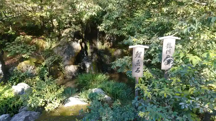 鹿苑寺(金閣寺)の庭園