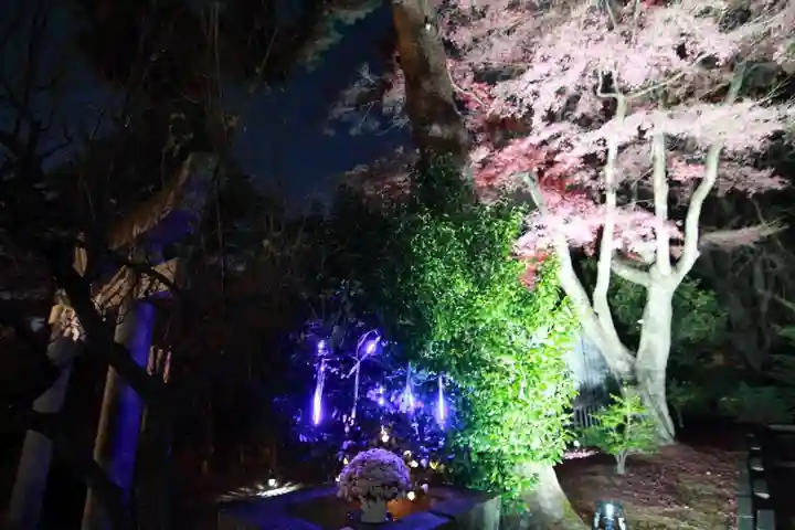 開成山大神宮の景色