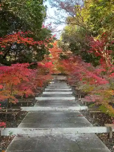 大森寺(愛知県)