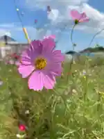 比々多神社の自然