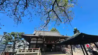 新井薬師（梅照院）の{uncategorized: "未分類", other: "その他", undefined: "問題あり", building: "その他建物", grave: "お墓", sacred_gate: "鳥居", guardian: "狛犬", statue: "像", buddha: "仏像", history: "歴史", nature: "自然", garden: "庭園", animal: "動物", pagoda: "塔", temizu: "手水舎", mountain_gate: "山門・神門", sanctuary: "本殿・本堂", subordinate: "末社・摂社", art: "芸術", scenery: "景色", jizo: "地蔵", ema: "絵馬", goshuin: "御朱印", omikuji: "おみくじ", items: "授与品その他", amulet: "お守り", goshuincho: "御朱印帳", eats: "食事", festival: "お祭り", votive_dance: "神楽", shichigosan: "七五三参", wedding: "結婚式", experience: "体験その他", initially: "初詣", around: "周辺", anti_infection: "感染症対策"}