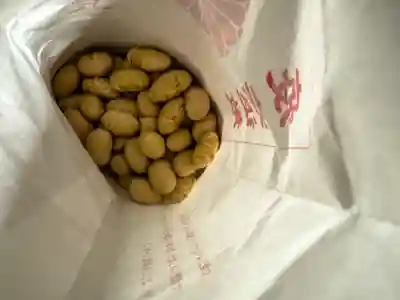 柞原八幡宮(大分県)