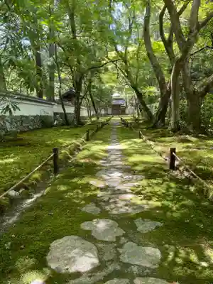 西芳寺(京都府)
