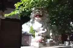 代田神社の狛犬