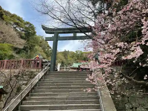 久能山東照宮の{uncategorized: "未分類", other: "その他", undefined: "問題あり", building: "その他建物", grave: "お墓", sacred_gate: "鳥居", guardian: "狛犬", statue: "像", buddha: "仏像", history: "歴史", nature: "自然", garden: "庭園", animal: "動物", pagoda: "塔", temizu: "手水舎", mountain_gate: "山門・神門", sanctuary: "本殿・本堂", subordinate: "末社・摂社", art: "芸術", scenery: "景色", jizo: "地蔵", ema: "絵馬", goshuin: "御朱印", omikuji: "おみくじ", items: "授与品その他", amulet: "お守り", goshuincho: "御朱印帳", eats: "食事", festival: "お祭り", votive_dance: "神楽", shichigosan: "七五三参", wedding: "結婚式", experience: "体験その他", initially: "初詣", around: "周辺", anti_infection: "感染症対策"}