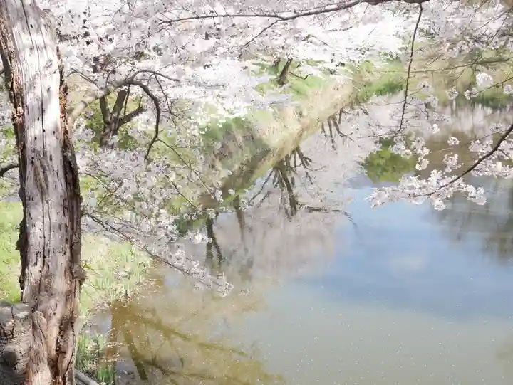 眞田神社の自然