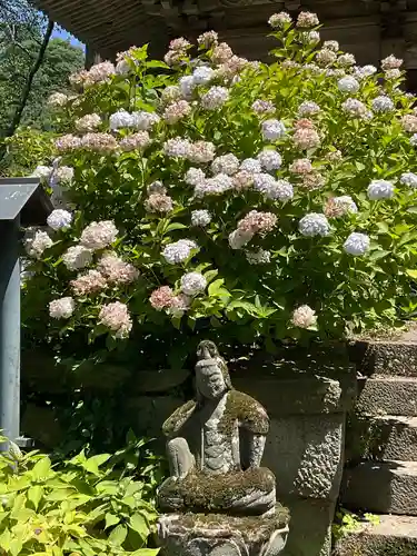 青龍山 吉祥寺の仏像