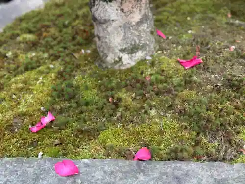 西方山極楽寺(岐阜県)