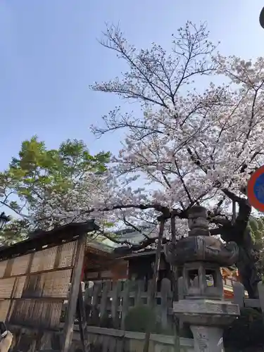 伏見稲荷大社(京都府)